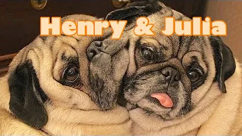 Henry Julian Photo 21