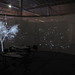Lois Lemoine Photo 20
