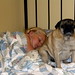Kimberly Otis Photo 24