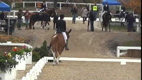 Kimberly Hermanson Photo 11