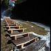 Sandro Martins Photo 33