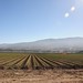 Soledad Salinas Photo 29