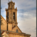Barbara Nicosia Photo 19