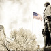 George Hall Photo 51