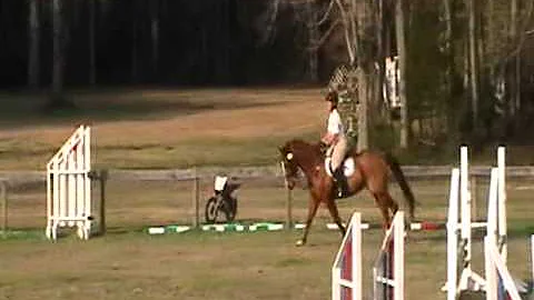 Allison Lawler Photo 22