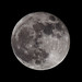 Andrew Fuller Photo 42