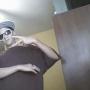 Maurice Levesque Photo 9