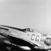 Dennis Kavanaugh Photo 35
