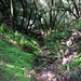 Samuel Peak Photo 21