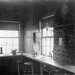Allen Whipple Photo 23