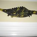 Steve Moorman Photo 29