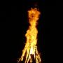 Craig Greene Photo 26