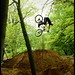 Daryl Brown Photo 47