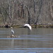 David Tillery Photo 42