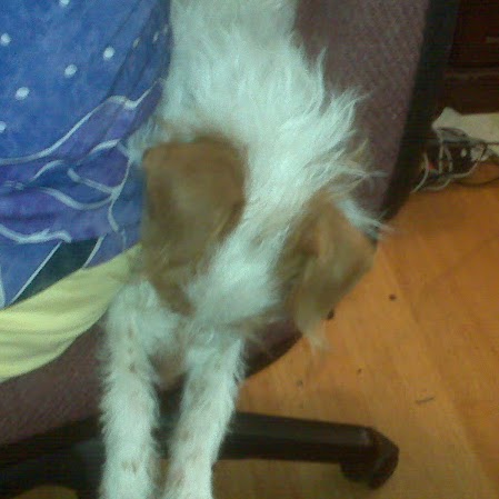 Penny Palmatier Photo 4