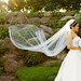 Andrew Koo Photo 32
