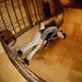 Adam Hopkins Photo 54