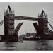 Paul Lazenby Photo 25