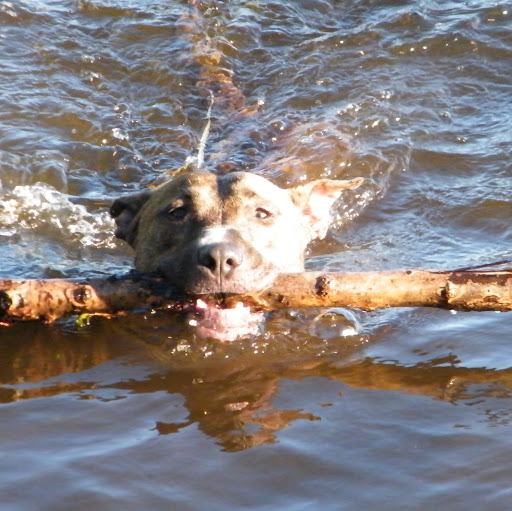 Katie Nettles Photo 12