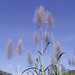 Paul Cane Photo 30
