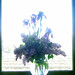 Linda Wadsworth Photo 30