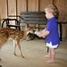 Thomas Deer Photo 20