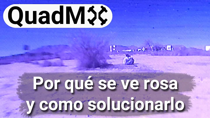 Rosa Camara Photo 19