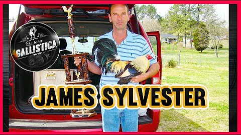 James Silvester Photo 11