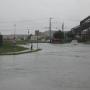 Denise Pipkin Photo 7