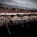 Lisa Hooper Photo 46