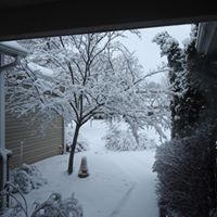 Kathy Dinan Photo 3