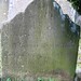 Elizabeth Buxton Photo 31