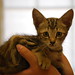 Connie Brown Photo 22