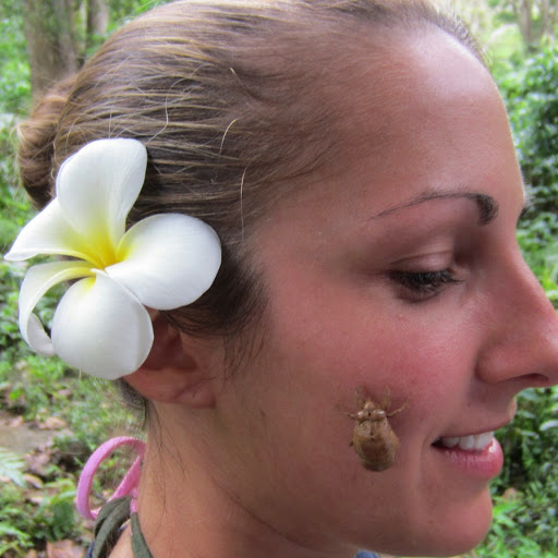 Lisa Dicostanzo Photo 6