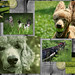 Amy Willoughby Photo 36