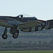 Velma Crews Photo 15