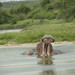 Elizabeth Wild Photo 37