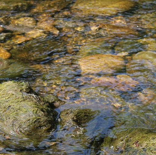Jacob Whitehead Photo 9