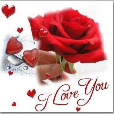 Cristal Rose Photo 13