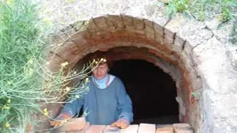 Branislav Todorovic Photo 15