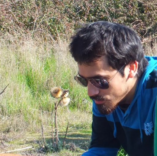 Ricardo Roman Photo 12