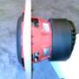 Steven Rosales Photo 28