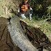 Lynn Zander Photo 14