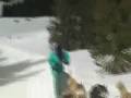 Donna Reardon Photo 12