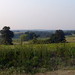 Flo Hill Photo 17