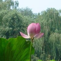 Di Xu Photo 19