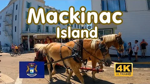 John Mackinaw Photo 6