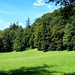 Joseph Bosco Photo 41