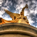 Nicholas Engle Photo 21