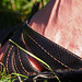 Caroline Clark Photo 39